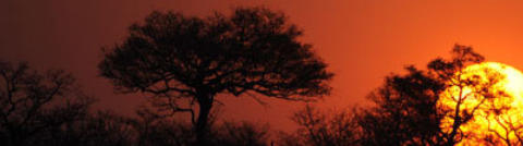 Ba Batle Game Farm, Lephalale, Vaalwater area, Limpopo, South Africa