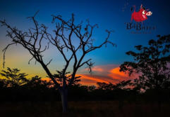 Activities at Ba Batle Game Farm