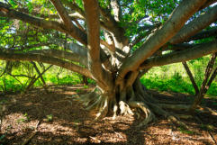 Activities at Ba Batle Game Farm