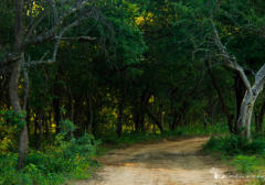 Activities at Ba Batle Game Farm