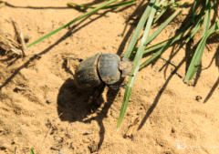 Activities at Ba Batle Game Farm