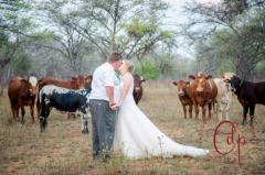 Ba Batle Game Farm is a fully self-catering lodge