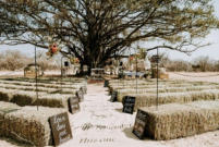 Weddings at Ba Batle Game Farm, Limpopo