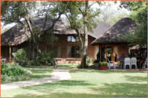 game farm babatle, game photography, game farm limpopo,game farm accommodation,