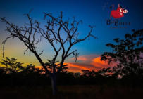 Activities at Ba Batle Game Farm