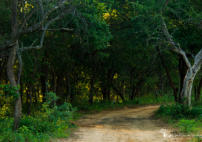 Activities at Ba Batle Game Farm