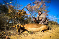 Ba Batle Game Farm is a fully self-catering lodge